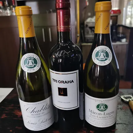 & Restaurant Pirocanac 3* Pirot