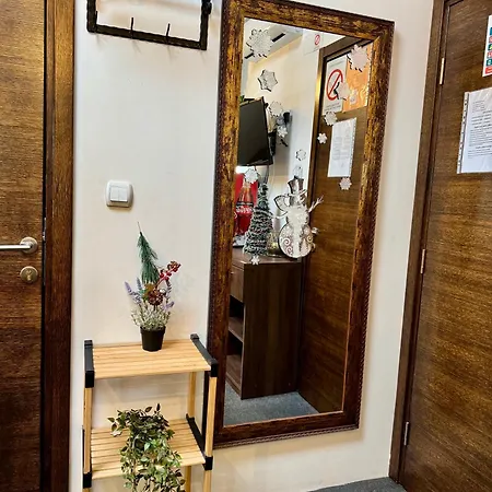 & Restaurant Pirocanac 3* Pirot