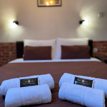 & Restaurant Pirocanac 3* Pirot