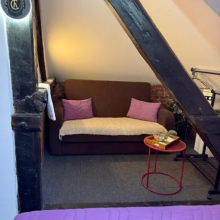 & Restaurant Pirocanac 3* Pirot